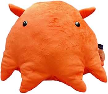 5151ecN0ioL._AC_UF350,