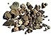 1/2 Lb Fossil Mix - 75-80 Genuine Fossils in Each Bag
