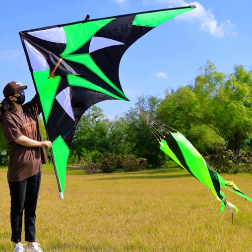 TianYueFly Huge Delta Kites for Adults with Large 3D Rotating Kite Tail, Giant Single-line Beach Kite for Adults and Teenagers