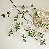 Product Photo 5