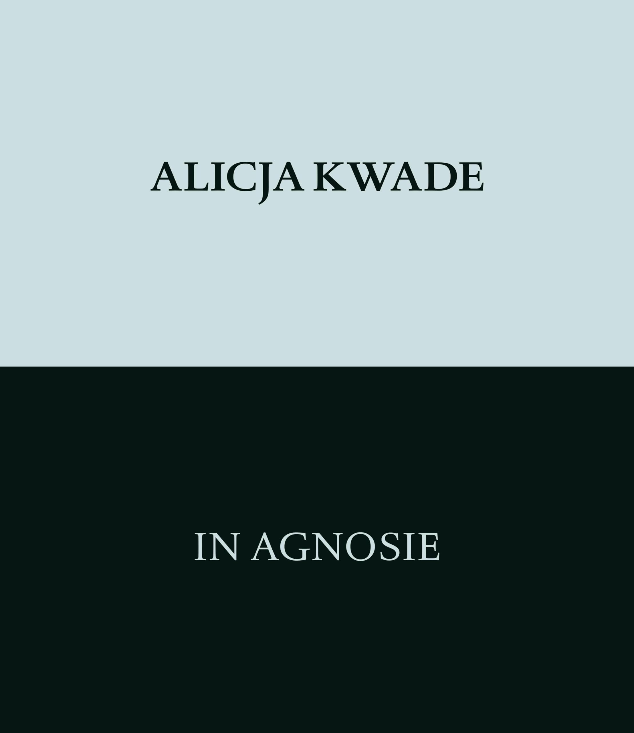 Comprendre l'art contemporain avec Alicja Kwade In Agnosie manuel allemand