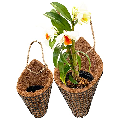 Panwa Handmade 100% Woven Thai Coconut Coir Bird Nest Hanging Orchid Planter Basket - Set Of 2 (6”& 4”) (Nursery Grade) #TOP8