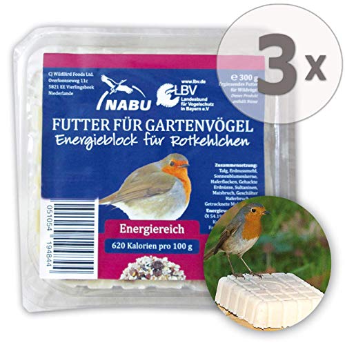CJ Wildlife Energieblock für Rotkelchen und andere Wildvögel mit Mehlwürmer, Sparpack 7 x 300 g