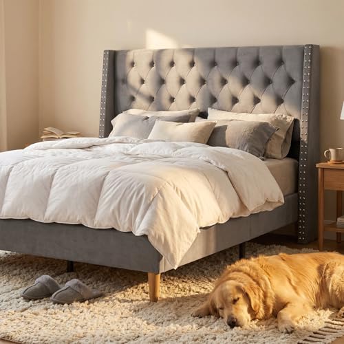 RIHHA Queen Size Grey Velvet Upholstered Platform Bed, Modern Glam Bed Frame with 47.2' Tall...