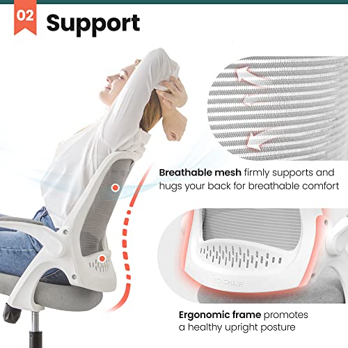 image for NEO CHAIR Office Desk Computer Gaming Chair with Ergonomic Lumbar Back