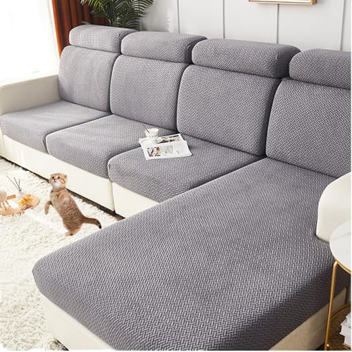 \t@[wJo[ NbVJo[ L JE`Jo[ Lkf ho kX^C   L  h~ [֗ lGʗp Mܐ CgO[ M[2V[^[