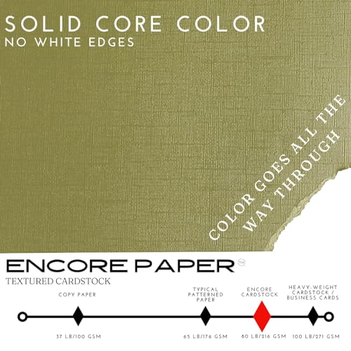Papier cartonné texturé vert Thyme 30,5x30,5 cm pour scrapbooking - 6