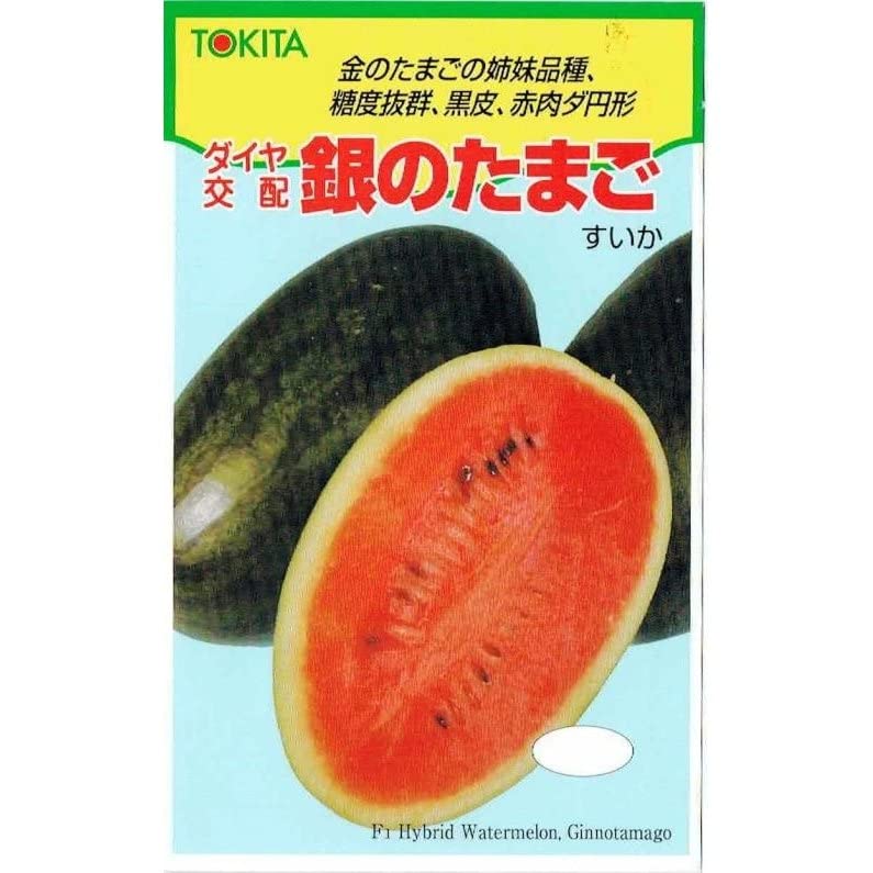 柘榴とスイカ 楽天市場】すいか スイカ 秋田県産 夏丸 小玉西瓜 チッチェ 1.5