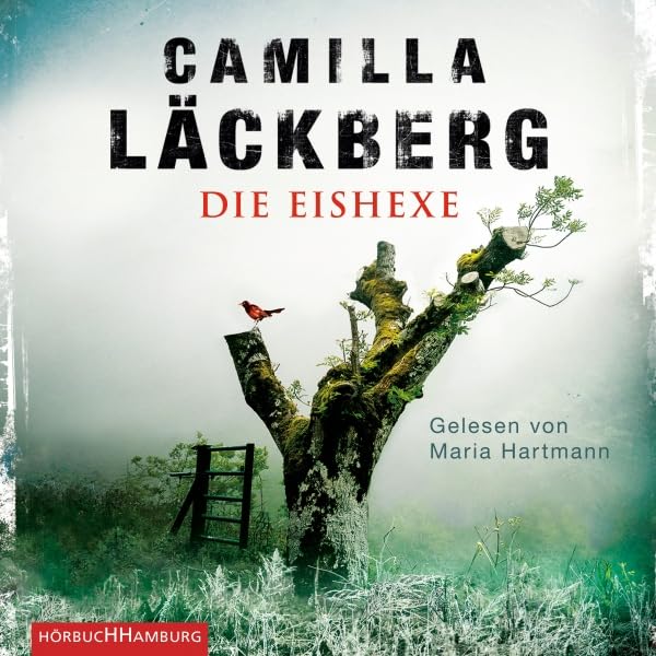 Cover art for Die Eishexe