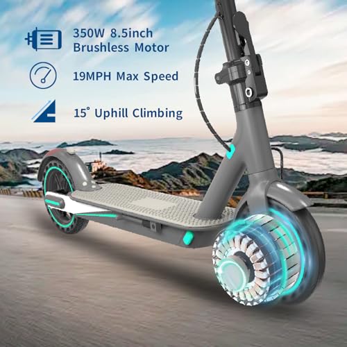 Electric Scooter for Adults, 350W Motor, 19 Mph Max Speed,