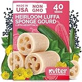 KVITER 40 Luffa Seeds (Luffa Aegyptiaca) – Loofa, Loofah Sponge Gourd Heirloom Seeds, Ideal Non GMO & Organic Natural Sponge – Loofah Seed for Planting from USA to Grow in Your Home Vegetable Garden