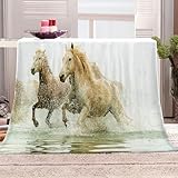 ★ Tissu de qualité supérieure : Fait de flanelle 100% microfibre de haute qualité. super doux, durable, chaud et léger. La peluche est répartie uniformément. Non pilling Anti-fading et anti-rides. Elle vous apporte une sensation plus respirante et légère pour garder votre corps au chaud. utilisation toute l'année.