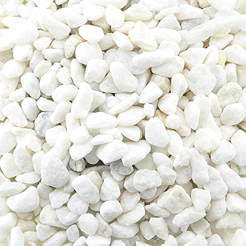 Piedras decorativas decorativas – Ø 1 – 1,2 cm – blanco – 1 kg – Decoración de mesa para casa y jardín