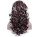 Deifor Women 80s Rocker Wigs Long Curly Heat Resistant Synthetic Natural Looking Hair for Cosplay(Brown Mix Blonde)