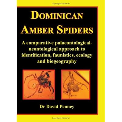 Dominican Amber Spiders
