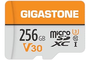 Gigastone 256GB Micro SD Card for Super Console X Pro with Adapter