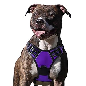 Eagloo Hondenharnas voor grote honden, anti-trein, harnas, geen pull, veiligheidsharnas, kleine middelgrote honden, borstharnas, zacht gevoerd, ademend (Large, Paars)