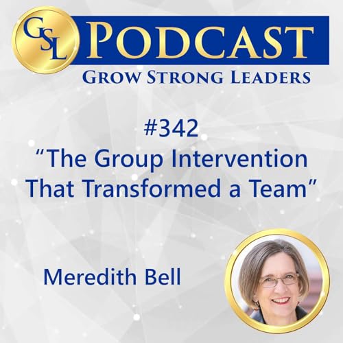 342: The Group Intervention That Transformed a Team