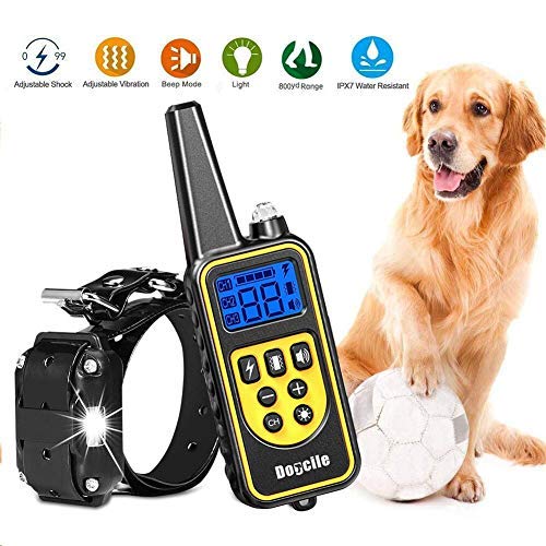 Best Training Collar With Shock Vibras