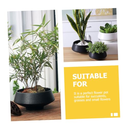 Pot de fleur céramique créatif idéal pour décorer un bureau moderne - 6