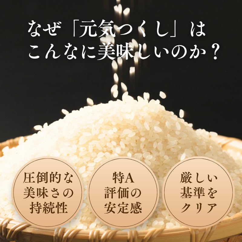 Amazon.co.jp: 令和7年産 福岡県産 金のめし丸 プレミアム 元気つくし