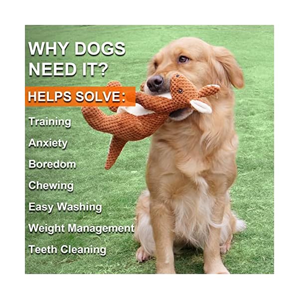 Tough Chew Toys for Medium Dog Breed
