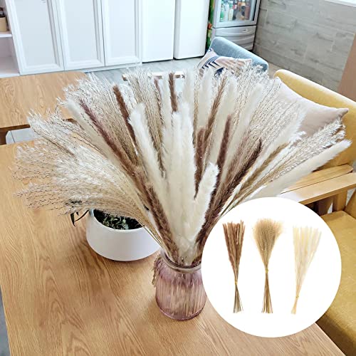 60 Peças de Decoração de Buquê de Flores de Junco de Seca Dos Pampas