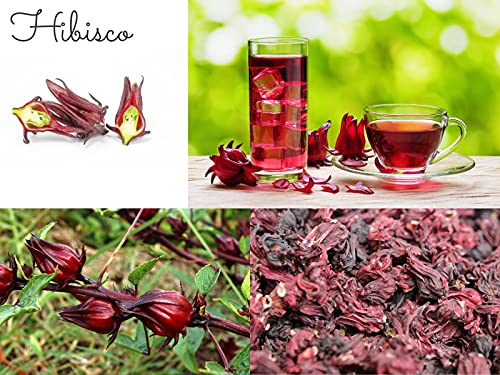 Chá de Hibiscus Panizza 30g