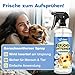 bio-chem Geruchsentferner Set | Hunde-Spray 750 ml + Wäschespülung 1L | Mikrobiologisch & effektiv | Gegen Tiergeruch auf Textilien & Oberflächen