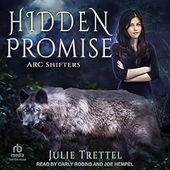 『Hidden Promise』のカバーアート