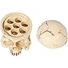 Product Photo 6