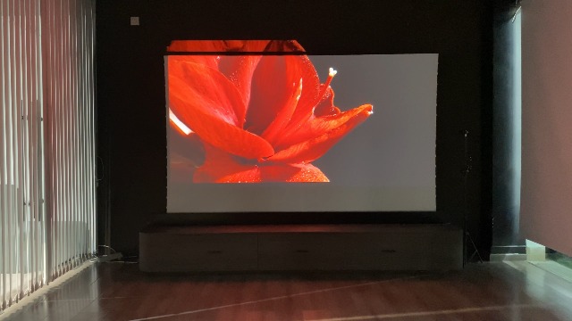 Amazon.com: VIVIDSTORM-Projector Screen with Stand Portable