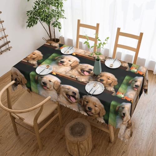 �q�� �e�[�u���N���X ���� �k�� ������� �e�[�u���J�o�[ �h�� �h�� ����h�~ �������ȒP �����` Table Cloth 137x183cm