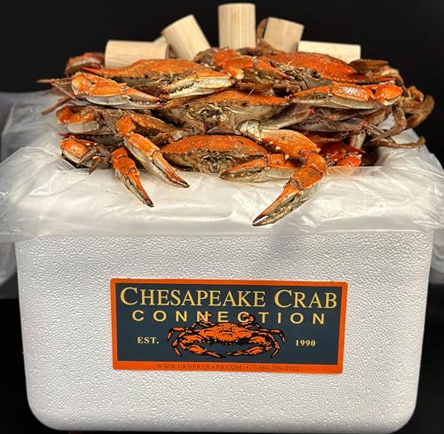 Chesapeake Crab Connection - Fresh Blue Crabs - 1/2 Bushel 'Jumbo' Male Mix (Measuring 6' - 7' Point...