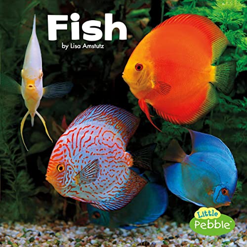 Fish by Lisa J. Amstutz episode artwork