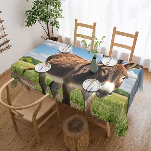 Nappe rectangle pour salle à manger motif âne drôle et étanche