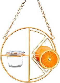 AttractiveMetal Hanging Oriole Bird Feeder with Fruit Holder Removable Drink Glass for Garden Patio Trunk Outside Feeder(Orange)