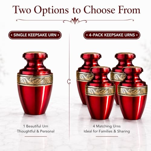 Image of Trupoint Memorials Cremation Urns for Human Ashes, Funeral Memorial Urn for Male and Female, Decorative Burial Grecian Urn Collection for Adult Men & Women - Grecian Red and Gold, 1 Keepsake
