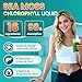 Sea Moss Drops - Irish Sea Moss Chlorophyll Liquid with Black Seed Oil, Ashwagandha, Moringa, Turmeric, Elderberry, Mullein, Seamoss Gel Supplement for Liver Cleaner, Detox & Gut, Immune Support-Vegan