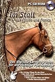  PC-Spie Im Stall der Pferde und Ponies CD-Rom