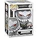 Funko Pop Batman Doomsday #408 - Injustice God Among Us Pop Limited Edition