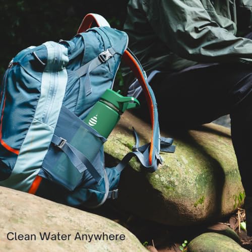 Clearly Filtered Water Bottle | Removes 220+ Contaminants, Double-Wall Insulated Stainless Steel, BPA/BPS Free, Phthalate Free, Filters Flouride Lead Chlorine (20oz, Sage Gray)