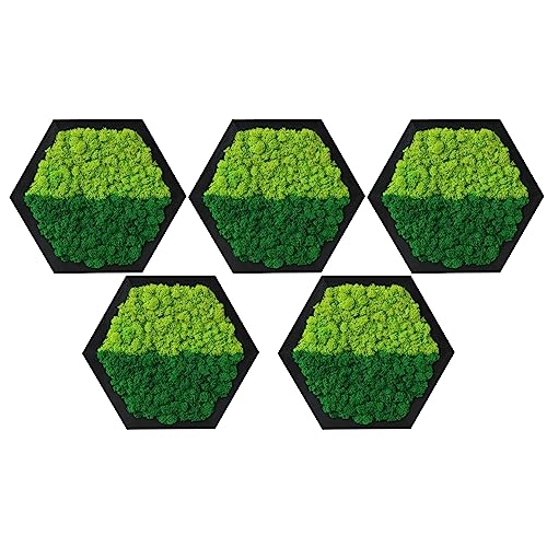 LVZHIHUAN Moss Wall Art Preserved Moss Honeycomb Hexagon 8