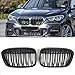XGCLZBJ Parrilla De Carreras De Rejillas Delanteras De Coche Abs para BMW X1 F48 F49 2016-2019 XDrive, Pieza De Repuesto