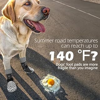 EXPAWLORER 6Pcs Anti Slip Dog Socks to Prevent Licking Paws, Dog Shoes for Winter, Double Sides Dog Boots & Paw Protectors Booties for Hardwood Floors with Grippers Small Medium Large Senior Dogs, M