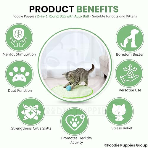 Image of Foodie Puppies Interactive Cat Play Mat with Automatic Rolling Ball (2-in-1 Combo) | Smart Motion Sensor Activity Toy, Anti-Slip Indoor Exercise Mat for Kittens & Cats | USB Rechargeable Chase Toy