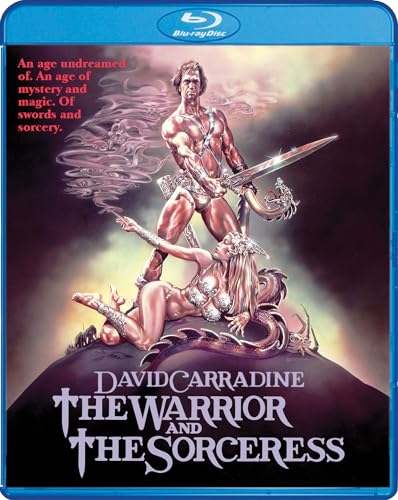The Warrior and the Sorceress image 5