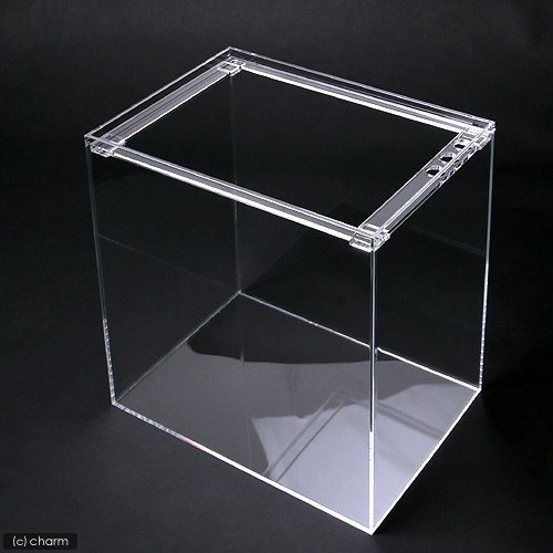 AN NVX mDPW iRTO×QOO×RUOj RT ʓr