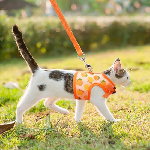 BINGPET Cat Harness with Leash Escape Proof - Fashionable Mesh Cat Dog Walking Harness Leads, Adjustable for Kitties Puppies Small Animals, Large