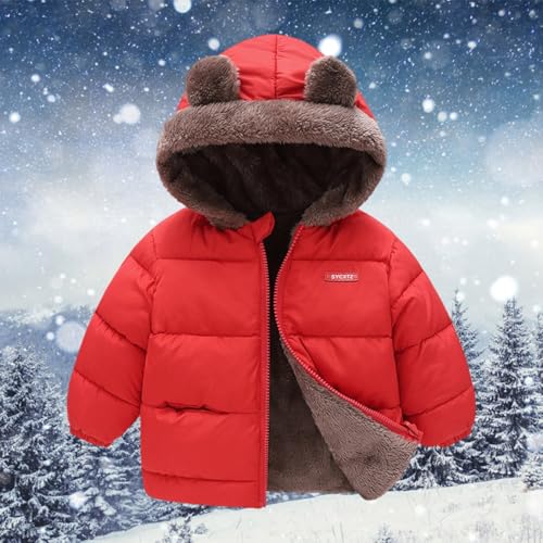 Kids Boys Fleece Lined Puffer Jacket Bear Ears Hooded Zip Up Solid Color Down Coat Toddler Boys Thick Padded Outwear4